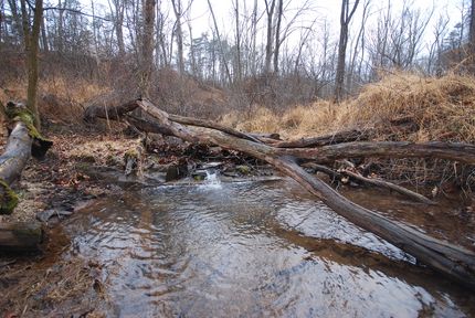 Timberland Property for sale in Hampshire County, West Virginia