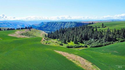 Undeveloped Land for sale in Lewis County, Idaho