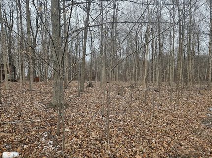 Undeveloped Land for sale in Tipton County, Indiana