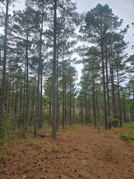 Property for sale in Anson County, North Carolina