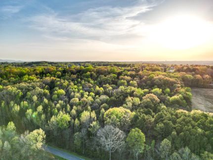 Undeveloped Land for sale in Morgan County, Alabama