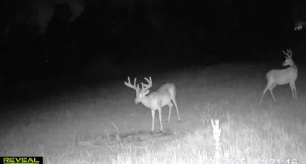 Farm Property for sale in Anderson County, South Carolina