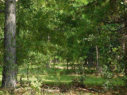 Lakefront Property for sale in Evans County, Georgia