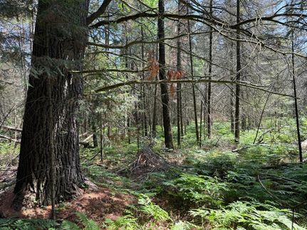 Undeveloped Land for sale in Oneida County, Wisconsin