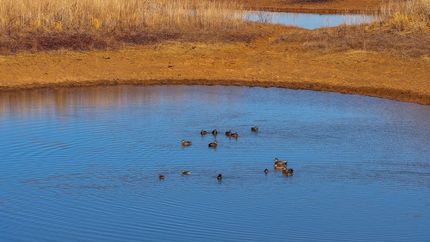 Farm Property for sale in Young County, Texas