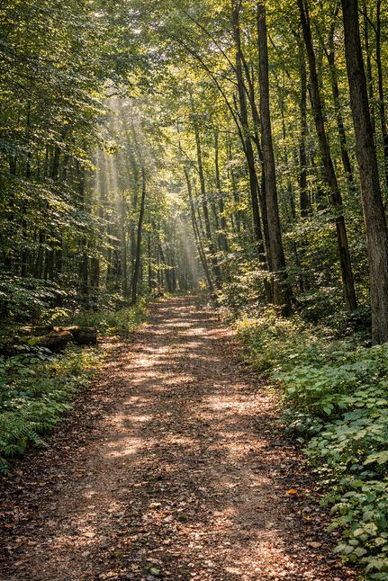 Property for sale in Scott County, Virginia