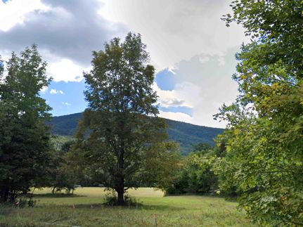 Property for sale in Greene County, New York