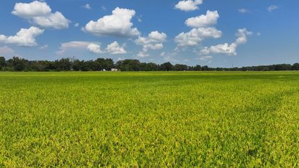 Farm Property for sale in Monroe County, Arkansas