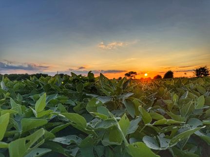 Property for sale in Colbert County, Alabama