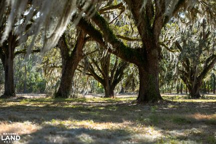 Riverfront Property for sale in Georgetown County, South Carolina