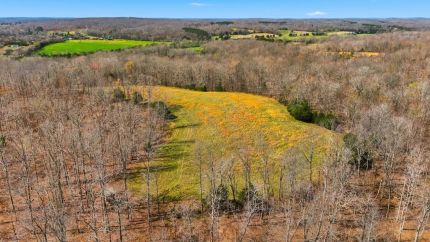 Property for sale in Houston County, Tennessee
