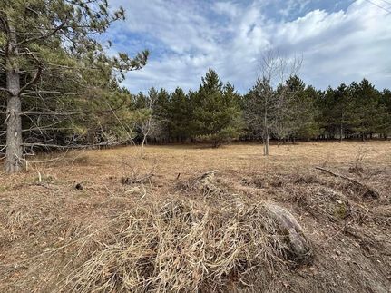 Undeveloped Land for sale in Portage County, Wisconsin