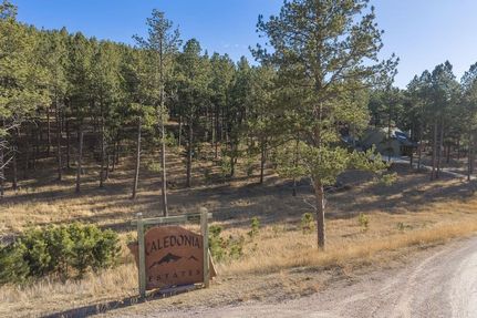 Undeveloped Land for sale in Custer County, South Dakota