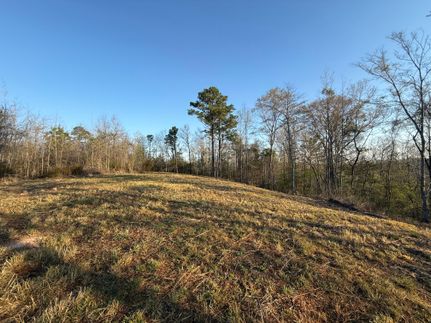 Timberland Property for sale in Tuscaloosa County, Alabama