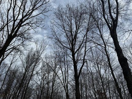 Property for sale in Clark County, Wisconsin