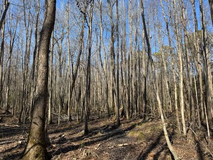 Property for sale in Sumter County, South Carolina