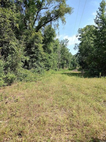 Undeveloped Land for sale in Calhoun County, Arkansas