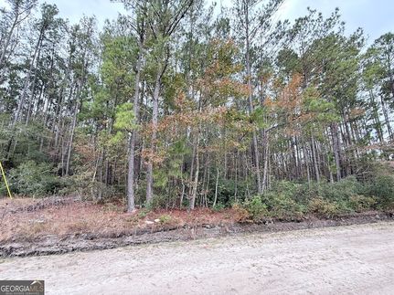 Undeveloped Land for sale in Bulloch County, Georgia