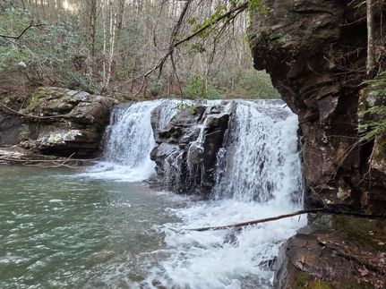 Timberland Property for sale in Sequatchie County, Tennessee