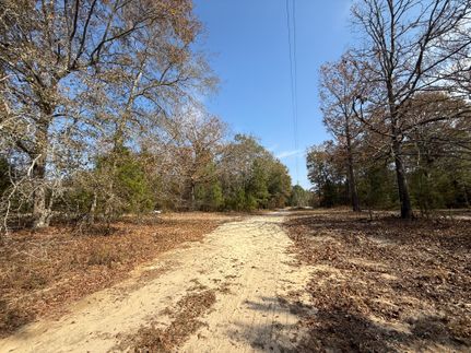 Property for sale in Clarendon County, South Carolina