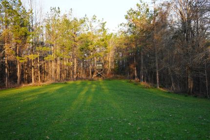 Property for sale in Montgomery County, Mississippi