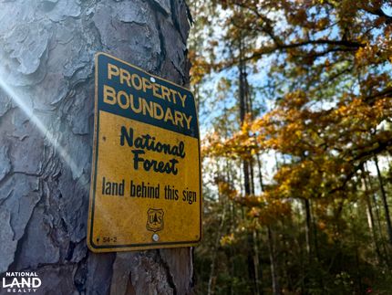 Undeveloped Land for sale in Perry County, Mississippi