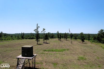 Timberland Property for sale in Wright County, Missouri