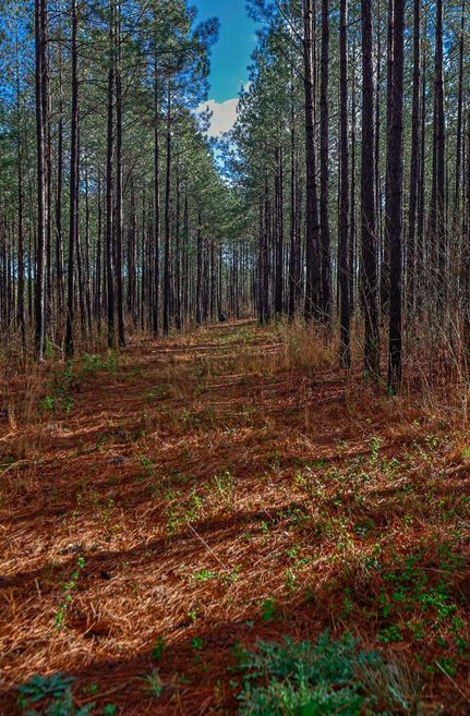 Undeveloped Land for sale in Hancock County, Georgia