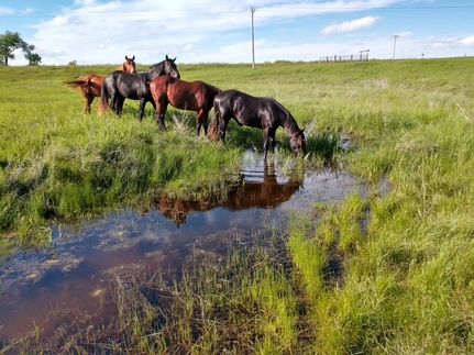 Ranch Property for sale in Meade County, South Dakota