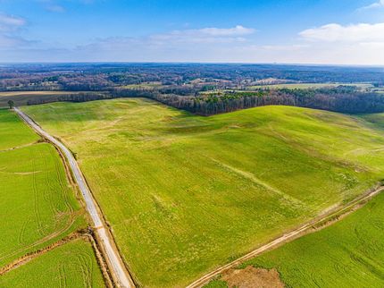 Farm Property for sale in Henry County, Tennessee