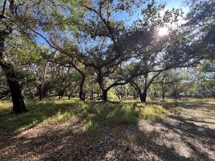 Farm Property for sale in DeSoto County, Florida