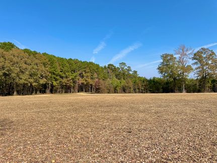 Farm Property for sale in Marion County, South Carolina