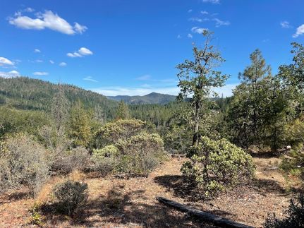 Undeveloped Land for sale in Jackson County, Oregon