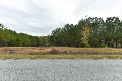 Undeveloped Land for sale in Lee County, Alabama