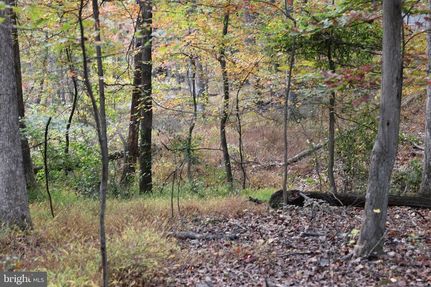 Undeveloped Land for sale in Berkeley County, West Virginia