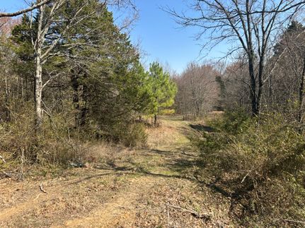 Timberland Property for sale in Poinsett County, Arkansas