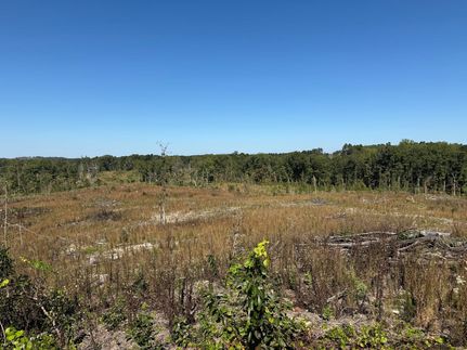 Hunting Land for sale in Choctaw County, Mississippi