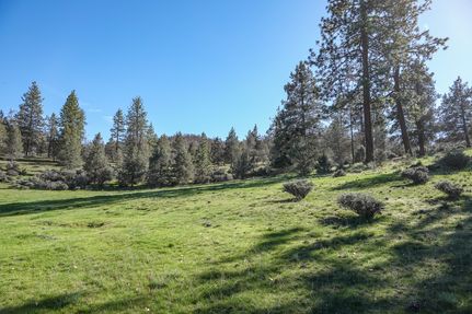Property for sale in Siskiyou County, California