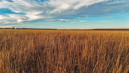 Farm Property for sale in Phillips County, Colorado