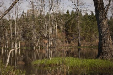 Property for sale in Saint Clair County, Alabama