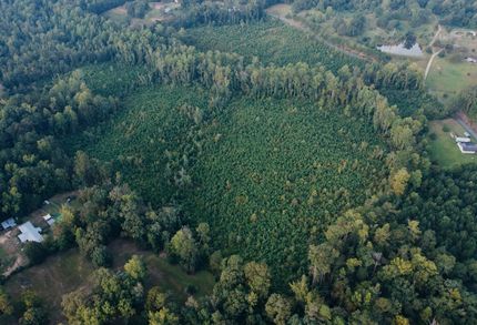 Property for sale in Lauderdale County, Mississippi