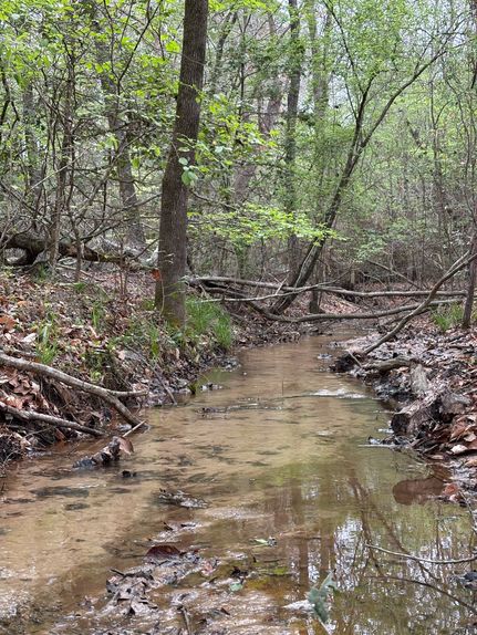 Property for sale in Shelby County, Texas