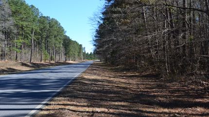 Property for sale in Laurens County, Georgia