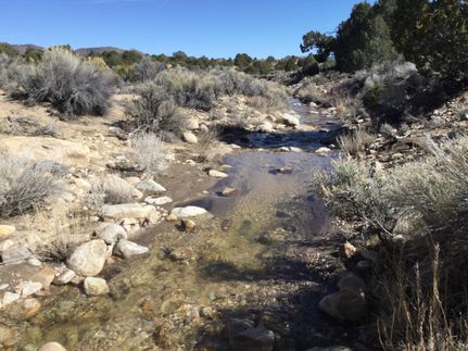 Riverfront Property for sale in Nye County, Nevada