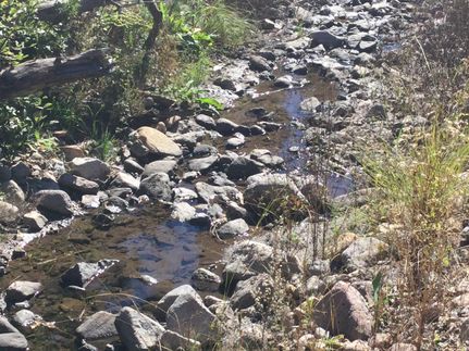 Property for sale in Lincoln County, New Mexico