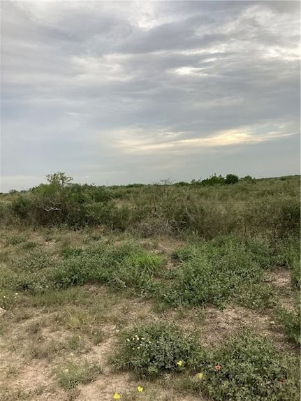 Undeveloped Land for sale in Duval County, Texas