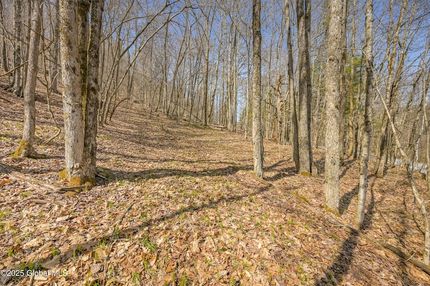 Undeveloped Land for sale in Schoharie County, New York