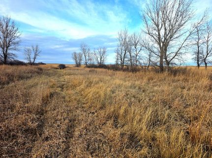 Farm Property for sale in Ness County, Kansas