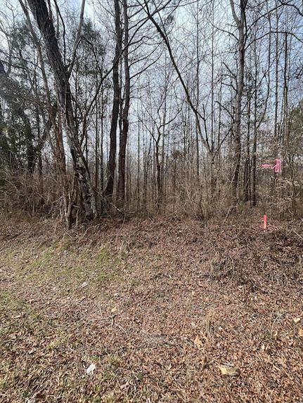 Property for sale in Meigs County, Tennessee