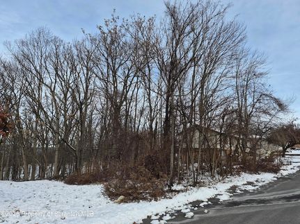 Undeveloped Land for sale in Lackawanna County, Pennsylvania